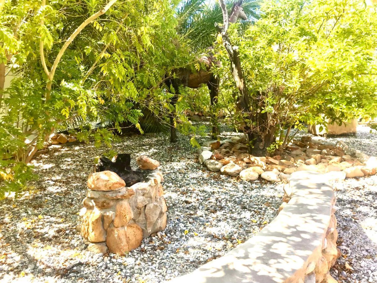 Mountain View Eco Lodge Montagu Bagian luar foto