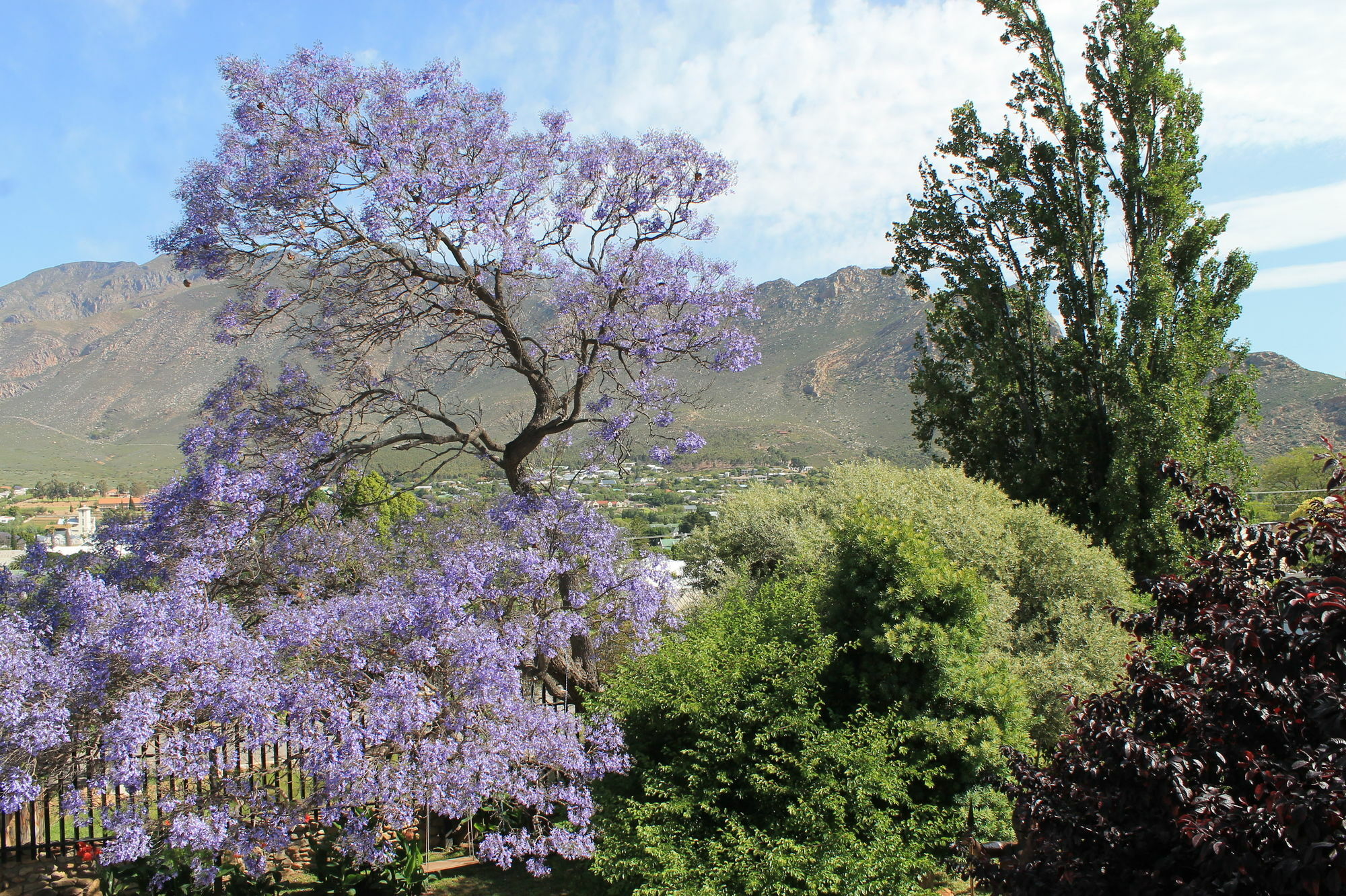 Mountain View Eco Lodge Montagu Bagian luar foto