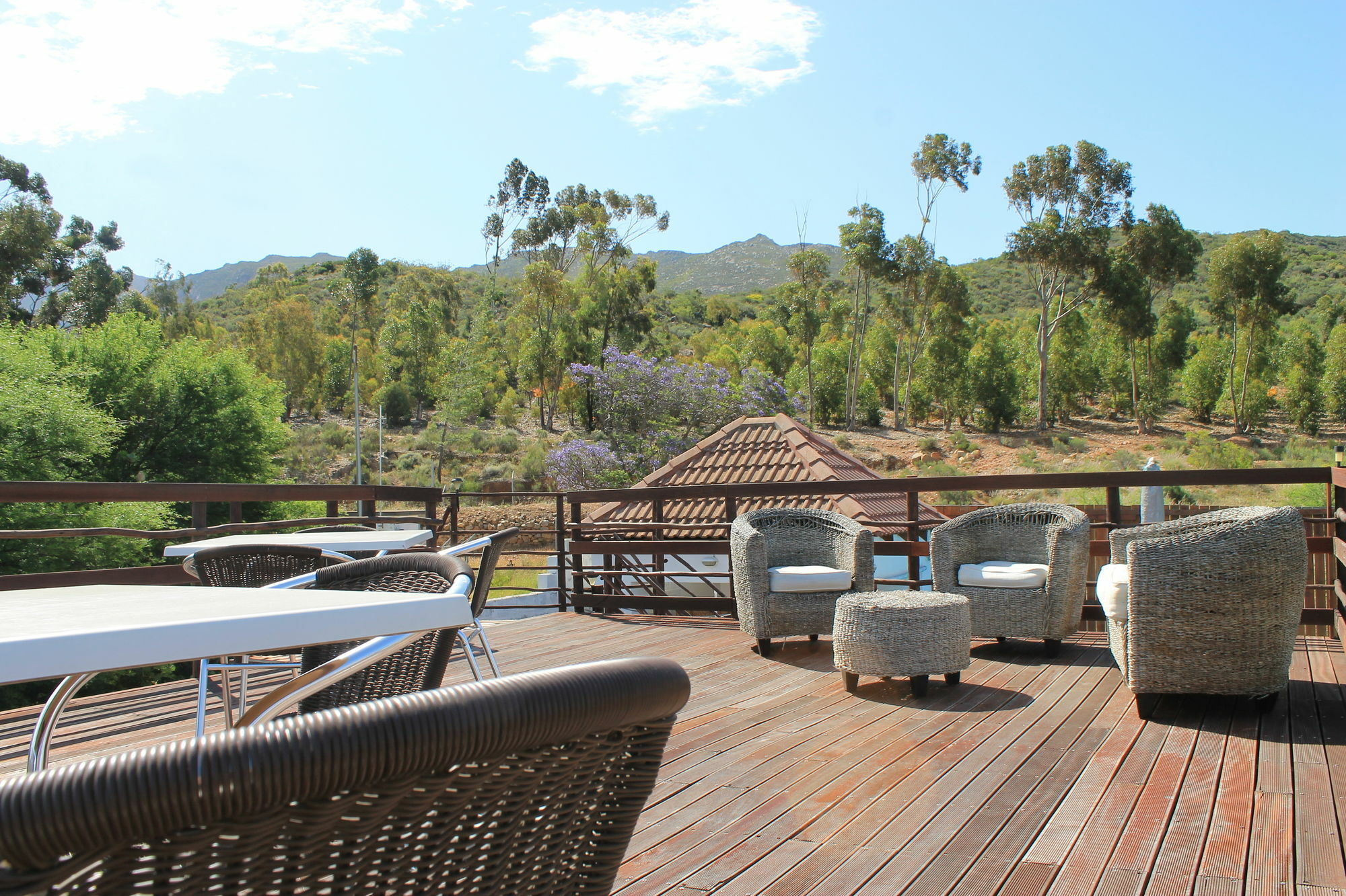 Mountain View Eco Lodge Montagu Bagian luar foto