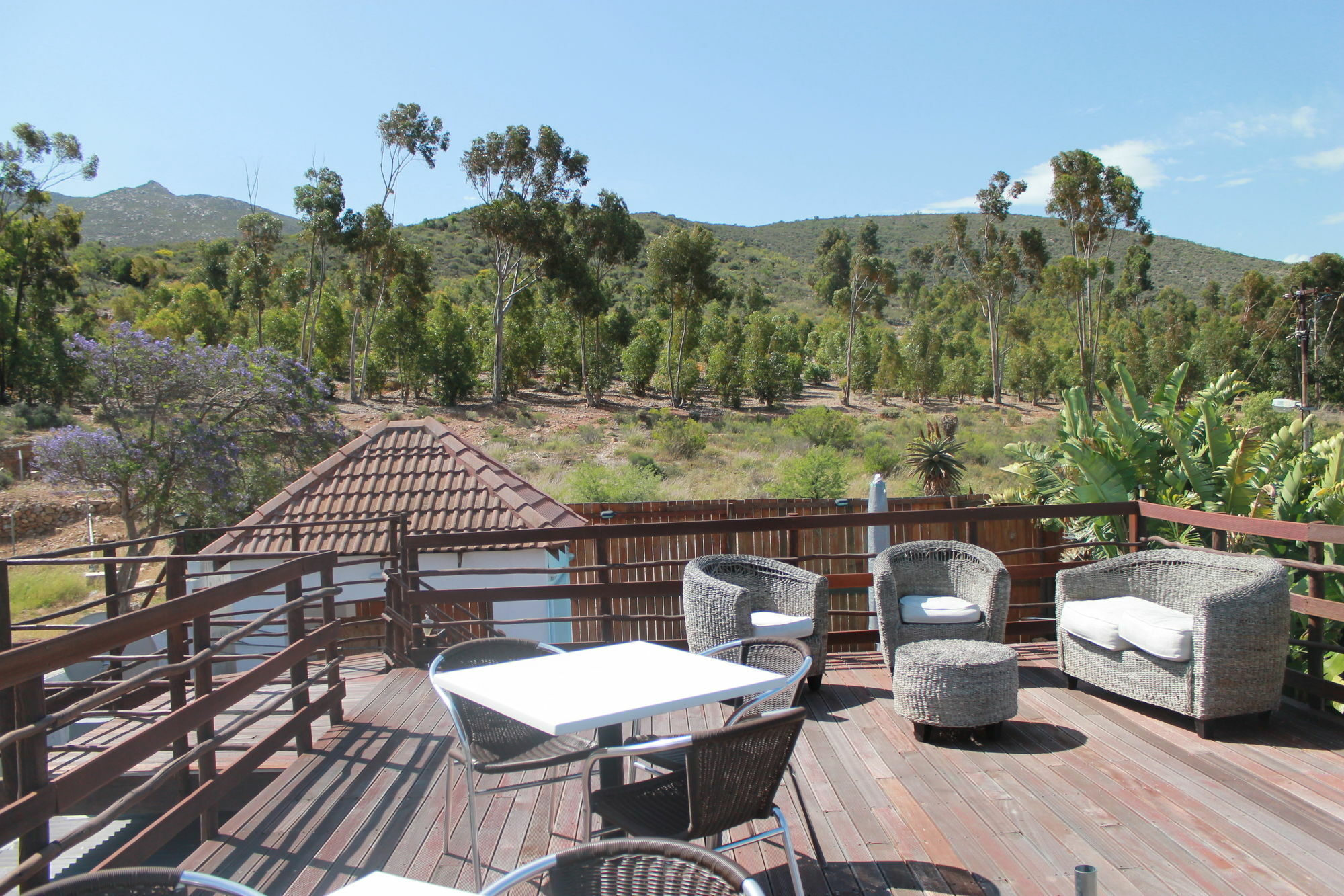 Mountain View Eco Lodge Montagu Bagian luar foto